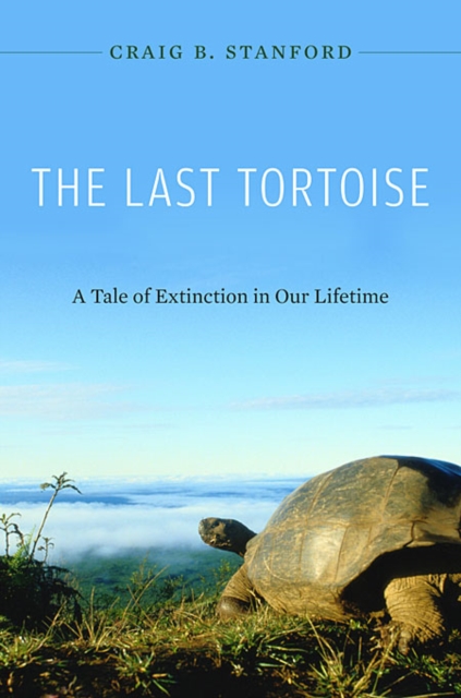 The Last Tortoise : A Tale of Extinction in Our Lifetime, Hardback Book