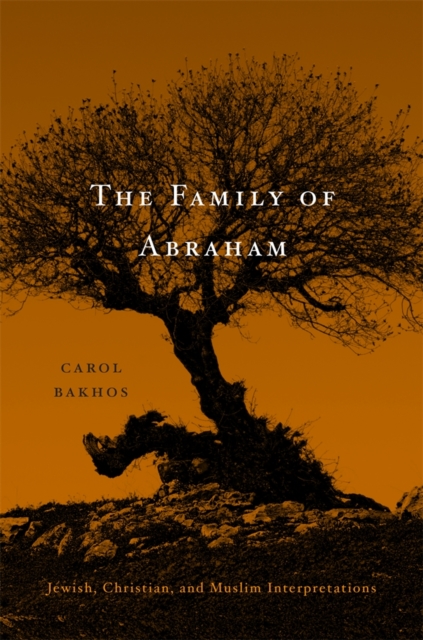 The Family of Abraham : Jewish, Christian, and Muslim Interpretations, Hardback Book
