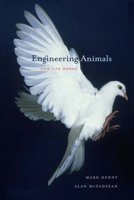 Engineering Animals : How Life Works, PDF eBook