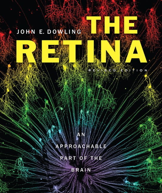 The Retina : An Approachable Part of the Brain, Revised Edition, Hardback Book