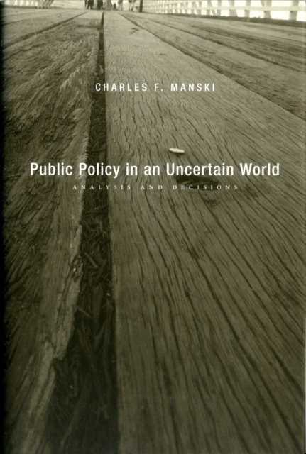 Public Policy in an Uncertain World : Analysis and Decisions, Hardback Book