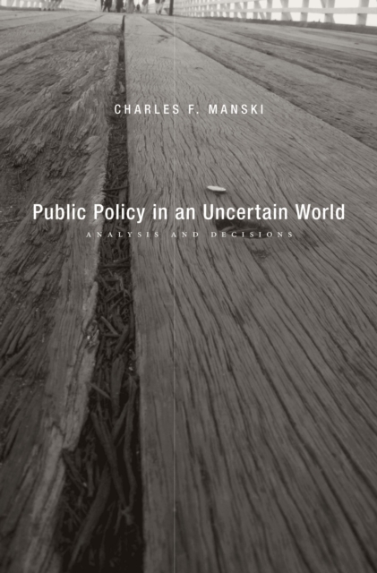 Public Policy in an Uncertain World : Analysis and Decisions, EPUB eBook