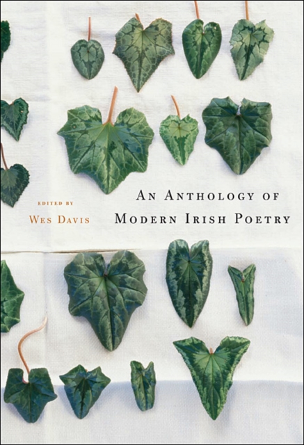 An Anthology of Modern Irish Poetry, Paperback / softback Book