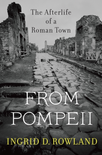 From Pompeii : The Afterlife of a Roman Town, Paperback / softback Book