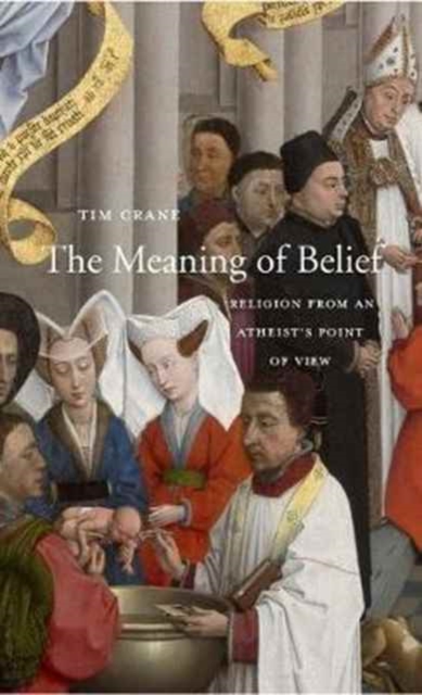 The Meaning of Belief : Religion from an Atheist’s Point of View, Hardback Book