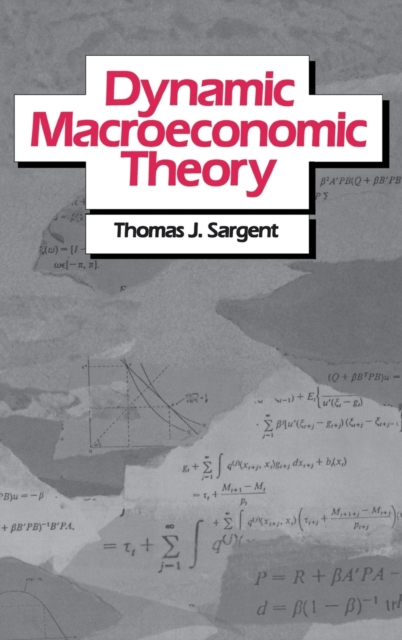 Dynamic Macroeconomic Theory, Hardback Book