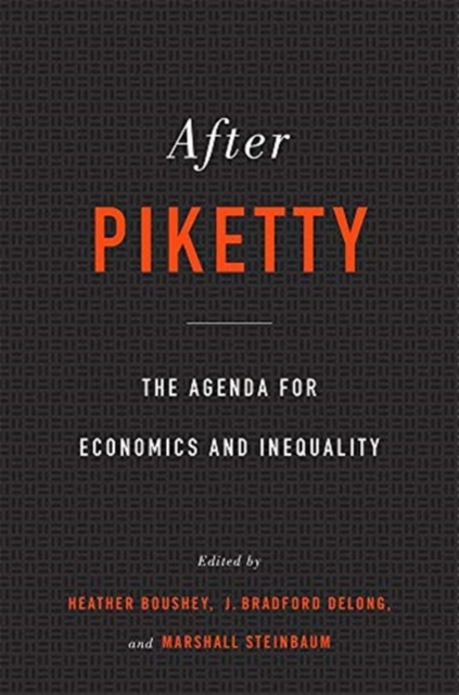 After Piketty : The Agenda for Economics and Inequality, Paperback / softback Book