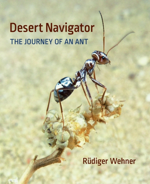 Desert Navigator : The Journey of an Ant, EPUB eBook