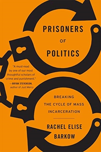 Prisoners of Politics : Breaking the Cycle of Mass Incarceration, Paperback / softback Book