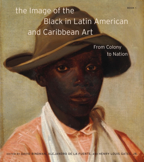 The Image of the Black in Latin American and Caribbean Art : Book 1, Hardback Book