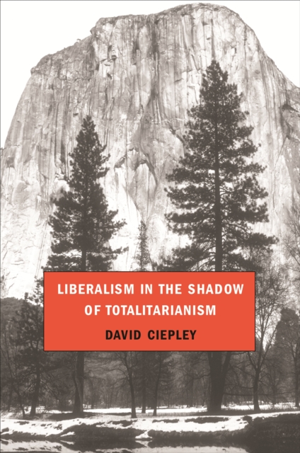 Liberalism in the Shadow of Totalitarianism, PDF eBook