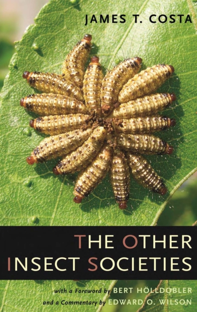 The Other Insect Societies, PDF eBook