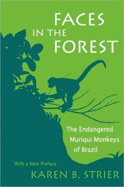 Faces in the Forest : The Endangered Muriqui Monkeys of Brazil, Paperback / softback Book