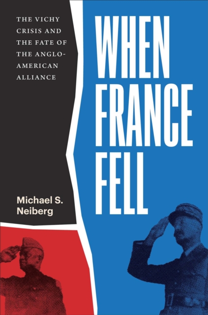 When France Fell : The Vichy Crisis and the Fate of the Anglo-American Alliance, Paperback / softback Book