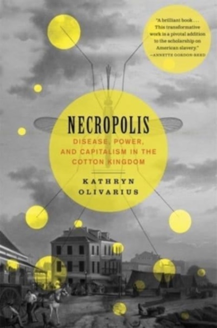 Necropolis : Disease, Power, and Capitalism in the Cotton Kingdom, Paperback / softback Book