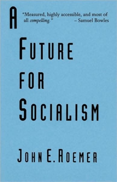 A Future for Socialism, Paperback / softback Book