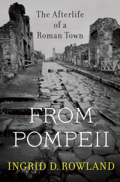 From Pompeii : The Afterlife of a Roman Town, EPUB eBook