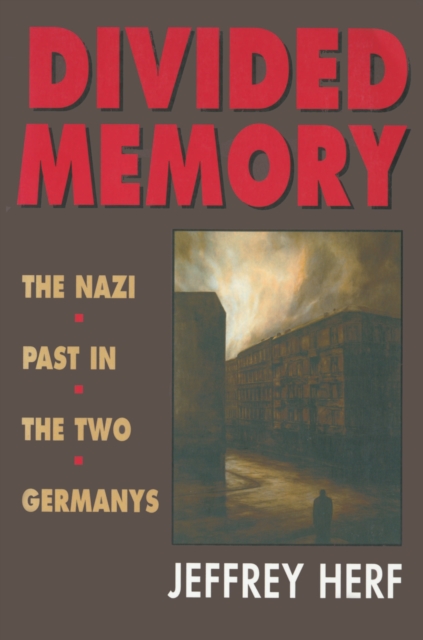Divided Memory, EPUB eBook