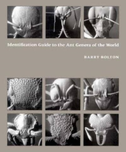 Identification Guide to the Ant Genera of the World, Hardback Book