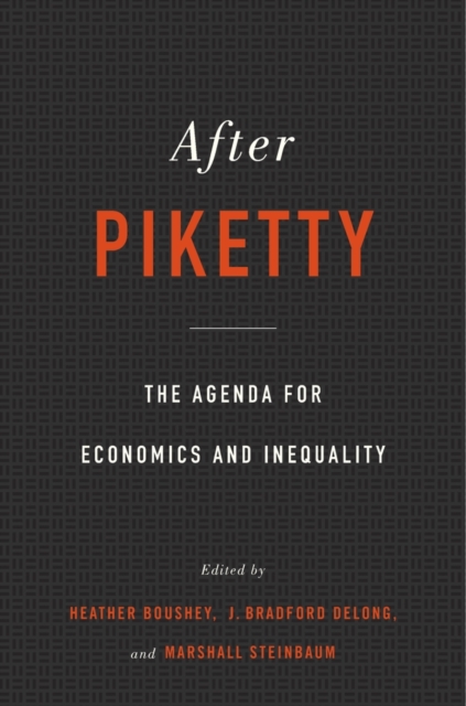 After Piketty : The Agenda for Economics and Inequality, Hardback Book