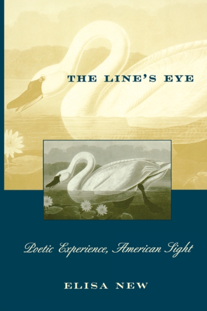 The Line’s Eye : Poetic Experience, American Sight, Paperback / softback Book