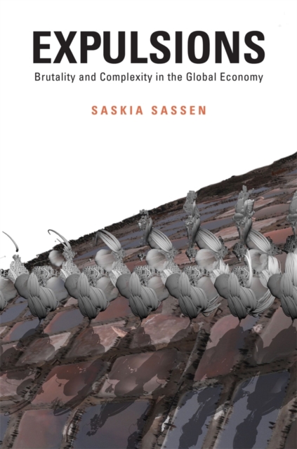 Expulsions : Brutality and Complexity in the Global Economy, Hardback Book