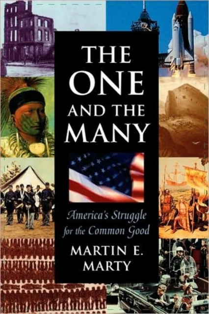 The One and the Many : America’s Struggle for the Common Good, Paperback / softback Book