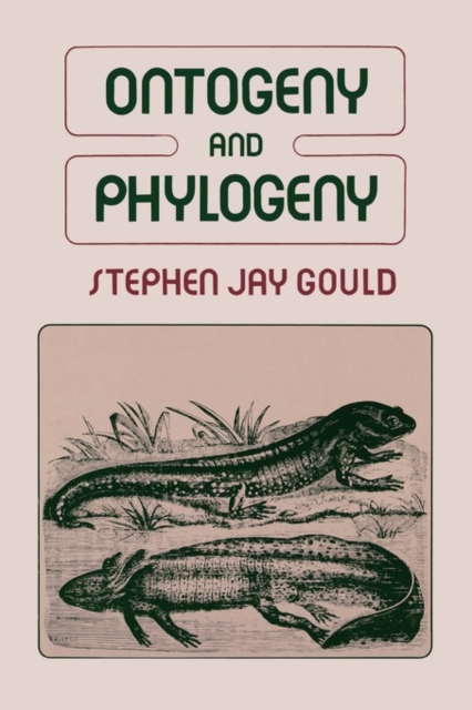 Ontogeny and Phylogeny, Paperback / softback Book
