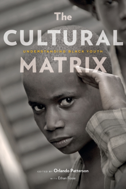 The Cultural Matrix : Understanding Black Youth, Paperback / softback Book