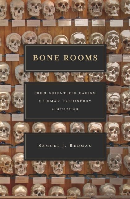 Bone Rooms : From Scientific Racism to Human Prehistory in Museums, Hardback Book