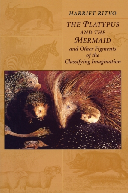 The Platypus and the Mermaid : And Other Figments of the Classifying Imagination, Paperback / softback Book