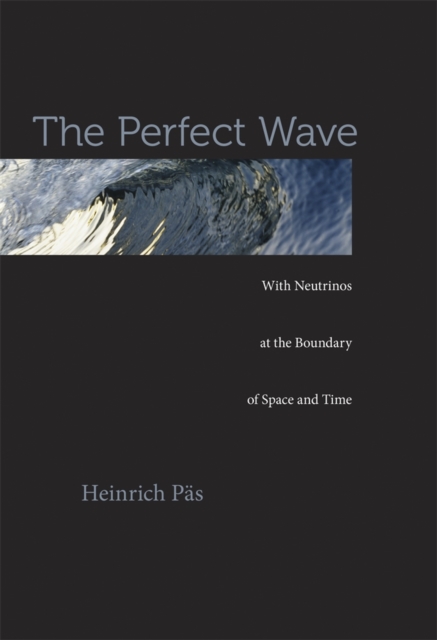 The Perfect Wave : With Neutrinos at the Boundary of Space and Time, Hardback Book