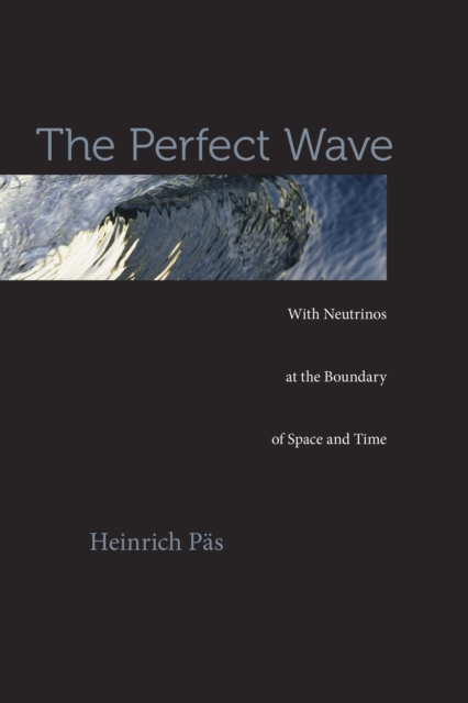 The Perfect Wave : With Neutrinos at the Boundary of Space and Time, EPUB eBook