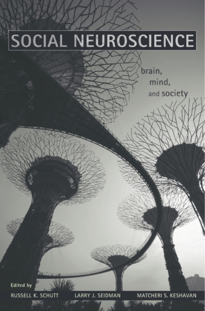 Social Neuroscience : Brain, Mind, and Society, Hardback Book