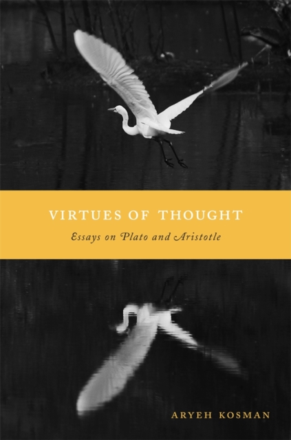 Virtues of Thought : Essays on Plato and Aristotle, Hardback Book
