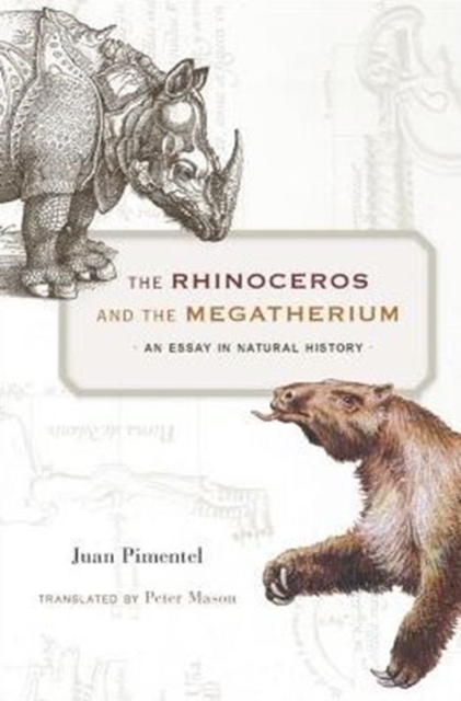 The Rhinoceros and the Megatherium : An Essay in Natural History, Hardback Book