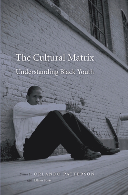 The Cultural Matrix : Understanding Black Youth, EPUB eBook