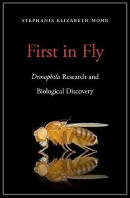 First in Fly : Drosophila Research and Biological Discovery, Hardback Book