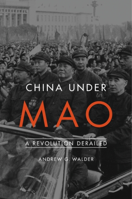 China Under Mao : A Revolution Derailed, Paperback / softback Book