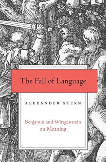 The Fall of Language : Benjamin and Wittgenstein on Meaning, Hardback Book
