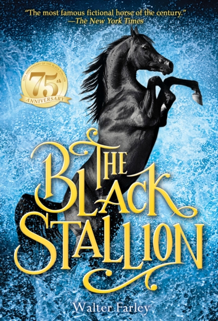 The Black Stallion, Paperback / softback Book