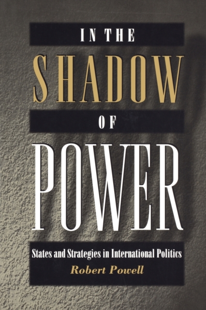 In the Shadow of Power : States and Strategies in International Politics, Paperback / softback Book