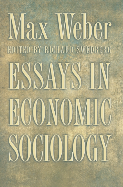 Essays in Economic Sociology, Hardback Book