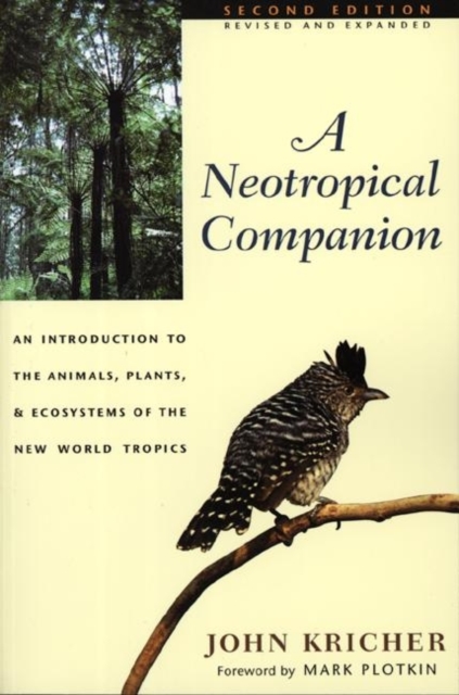A Neotropical Companion : An Introduction to the Animals, Plants, and Ecosystems of the New World Tropics, Paperback Book
