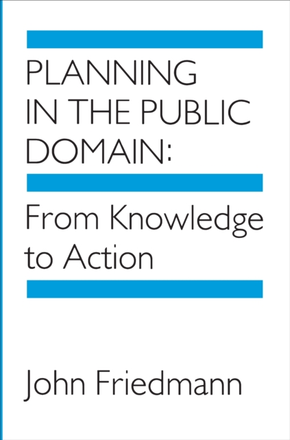 Planning in the Public Domain : From Knowledge to Action, Paperback / softback Book