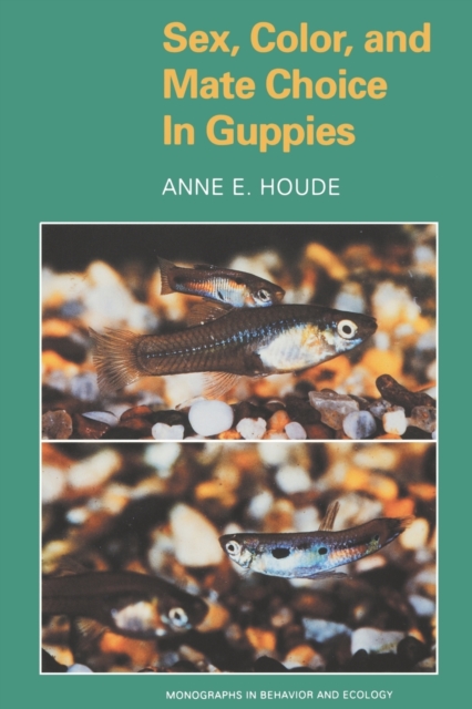 Sex, Color, and Mate Choice in Guppies, Paperback / softback Book