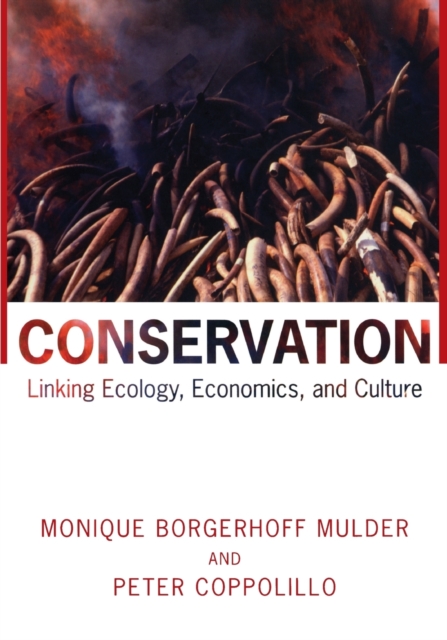 Conservation : Linking Ecology, Economics, and Culture, Paperback / softback Book
