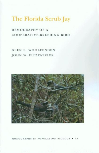 The Florida Scrub Jay (MPB-20), Volume 20 : Demography of a Cooperative-Breeding Bird. (MPB-20), Paperback / softback Book