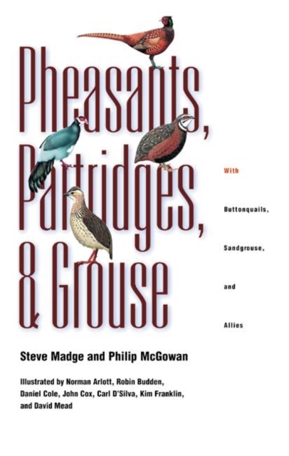 Pheasants, Partridges, and Grouse : A Guide to the Pheasants, Partridges, Quails, Grouse, Guineafowl, Buttonquails, and Sandgrouse of the World, Hardback Book