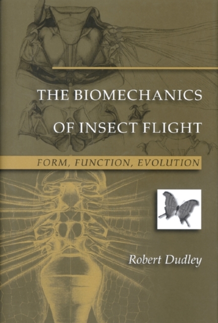 The Biomechanics of Insect Flight : Form, Function, Evolution, Paperback / softback Book